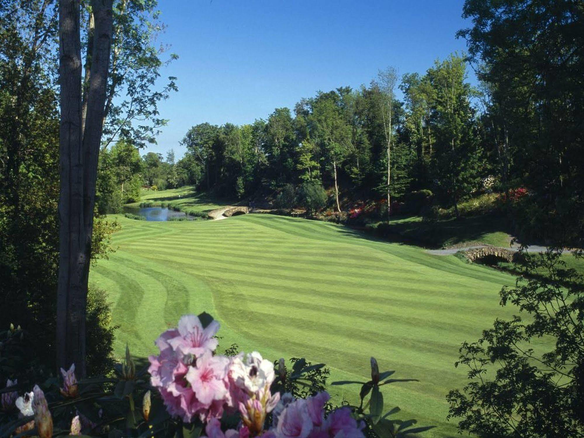 Druids Glen Resort Newtownmountkennedy Exterior photo